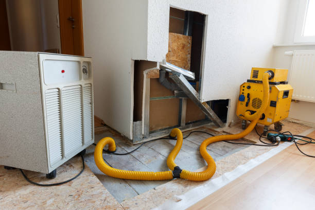 Dehumidification Services in Honesdale, PA